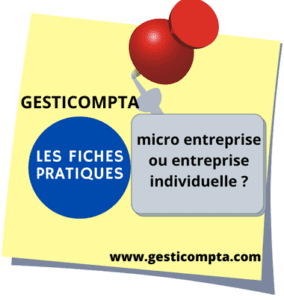 différences entre micro entreprise et entreprise individuelle