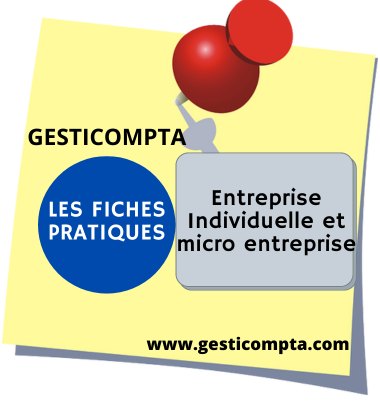 choix entreprise individuelle classique ou micro entreprise.