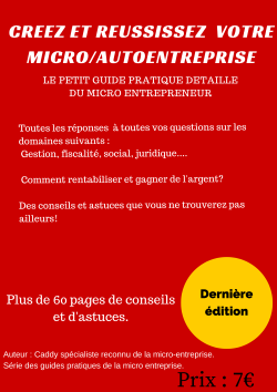 guide pratique détaillé du micro entrepreneur