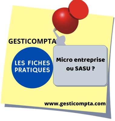 SASU ou micro entreprise, comment choisir ? 