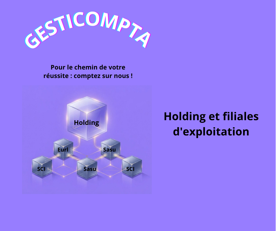 Création d'une holding avec ses filiales d'exploitation